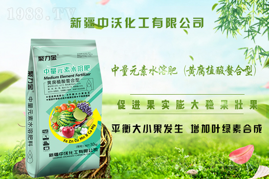 ���½����ֻ�����ף�V�����т�����옷���Ҹ�������