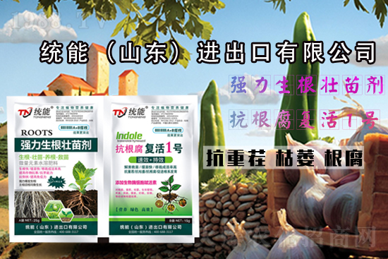 ��ɽ�|�y(t��ng)�ܡ�ףһ·�߁������т�����������\(y��n)�o����