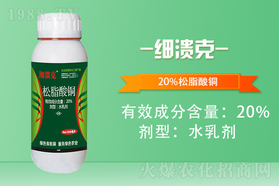 ���_��W���桿ף������µ�һ����͚����������w�������f��������