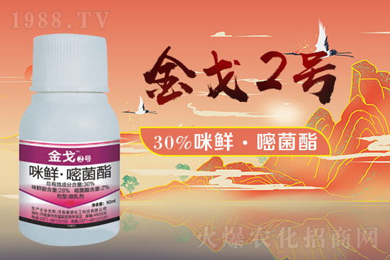 ��ِ�Z������ף�V��(j��ng)�N�����ѻ�����\����ס��ؔ�\�L�L����