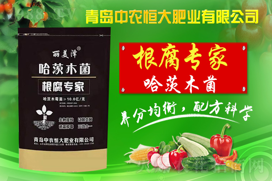 �����r(n��ng)���ףȫ��(gu��)��������옷(l��)������ʮ����ؔ(c��i)Դ�L�L��