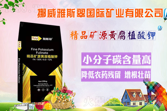 ��Ų����˹�䡿ף�V��(j��ng)�N��2022�껢������H�Қg��������(ji��)�옷��