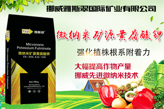 ��Ų����˹�䡿ף�V��(j��ng)�N��2022�껢������H�Қg��������(ji��)�옷��