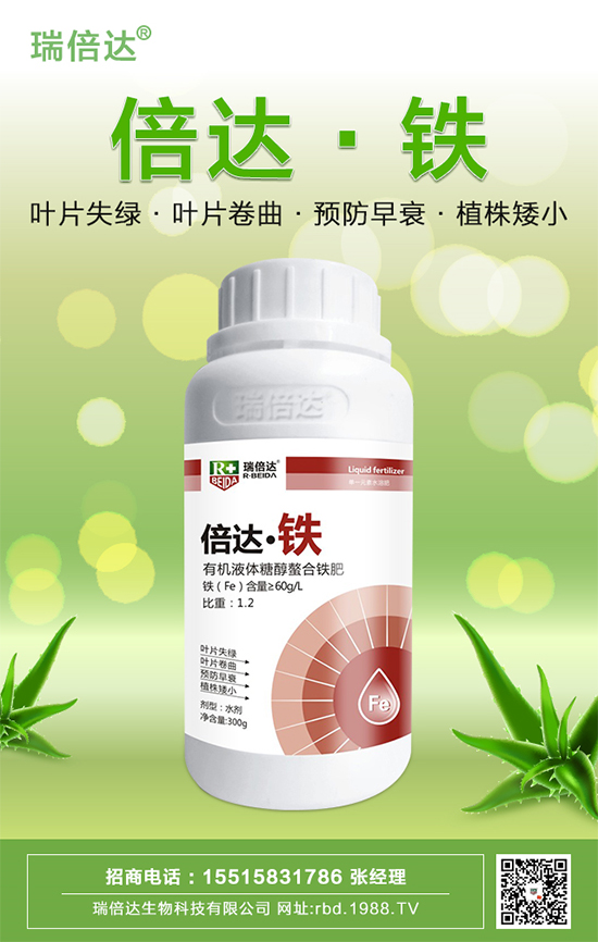 �����_��ף���µ�һ��һ����������������d¡��ؔԴ�V�M��