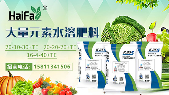 ����ɫ�к������Q(m��o)��ף�r(n��ng)�Y��(j��ng)�N�����т�2022����옷����ϲ�l(f��)ؔ��