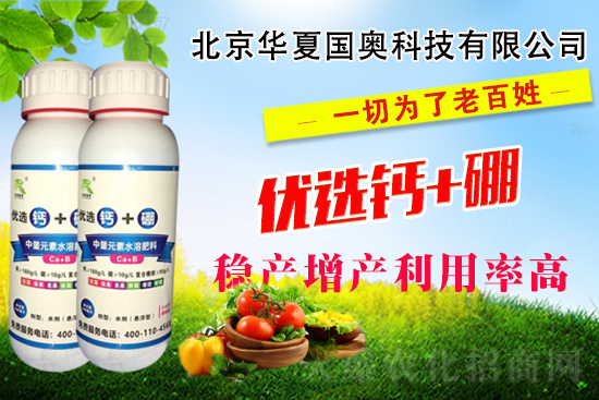 ���A�ć�(gu��)�W��ף����µ�һ��ؔ(c��i)���\�����I(y��)�\�������w�\����