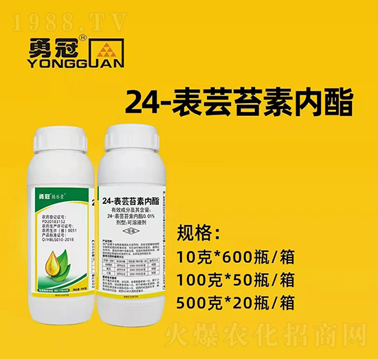 �������¹چ̵ϡ�ȫ�w�T����ף��������2022���I(y��)�v�w����������������