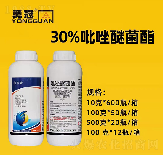 �������¹چ̵ϡ�ȫ�w�T����ף��������2022���I(y��)�v�w����������������