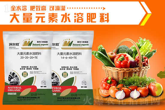 ���ӱ����W���ף�V��(j��ng)�N��2022���I(y��)�v�w��������������\���^��