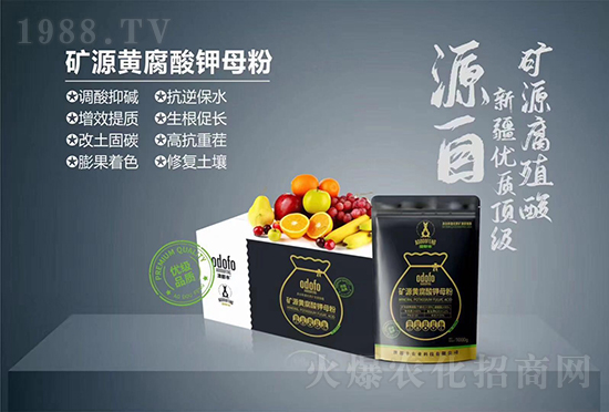 ���Ķ��S�r(n��ng)�I(y��)����ף��������2022����옷�����꼪����֥���_����(ji��)��(ji��)����