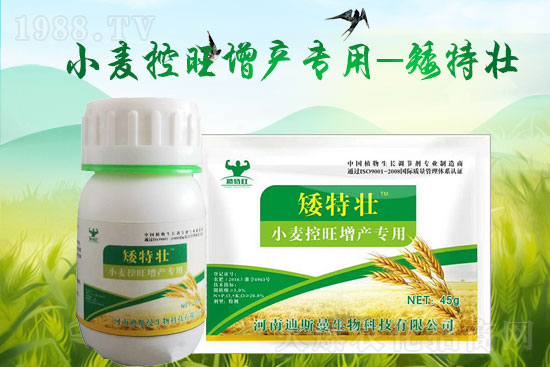 ����˹�����o��Ұ�������ף���2022�껢������H�Қg��(l��)������(ji��)�옷(l��)��