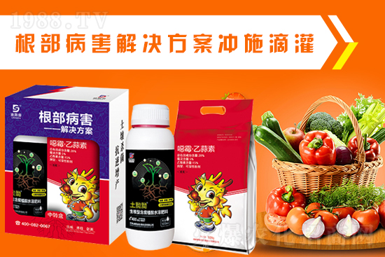 ����˹�����o��Ұ�������ף���2022�껢������H�Қg��(l��)������(ji��)�옷(l��)��