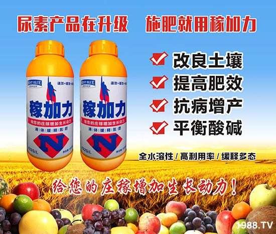 ����˹�ء�ף���т�����옷���f��������֥���_����(ji��)��(ji��)����