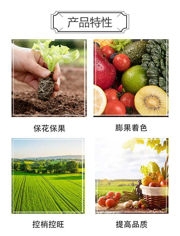 �������������ɷ����޹�˾1_04