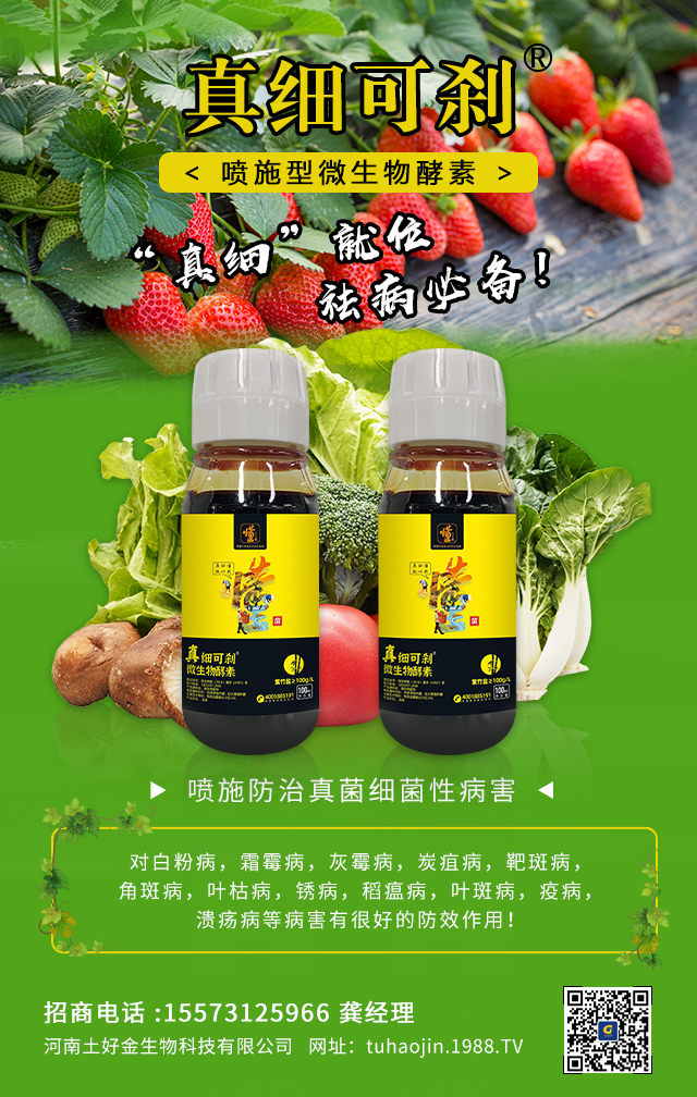 ���������ý�ףȫ���r(n��ng)�Y��(j��ng)�N�����т�2022����옷�������d¡���f��������