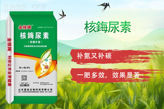 ���ڿ�����ø��ף���т�����옷�����w������ǰ�����\���������M��