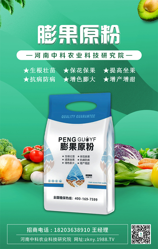     ���п��r(n��ng)�I(y��)��ף�V�����т�����(ji��)�옷��ƽ���������Ҹ�������