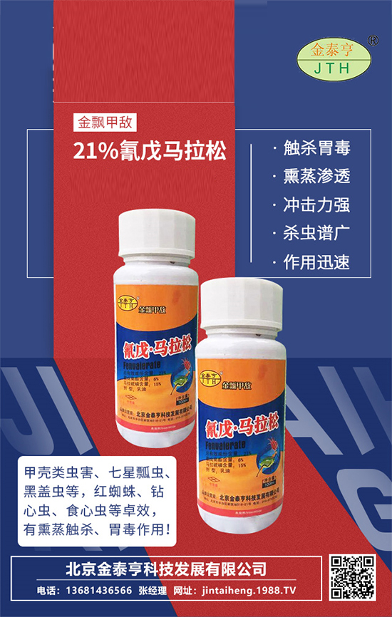 ��������̩�ࡿף�V�����т�ؔ�\�L�L������옷���������