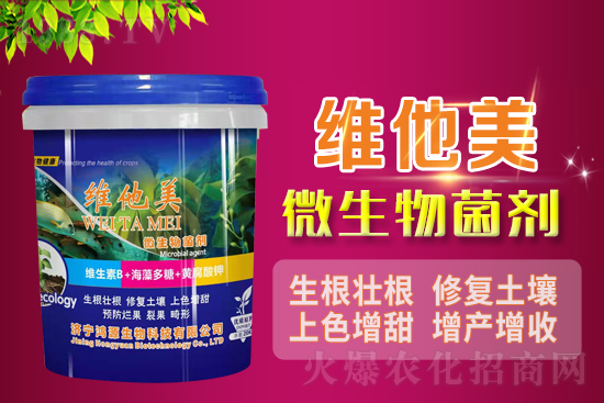 ΢�������