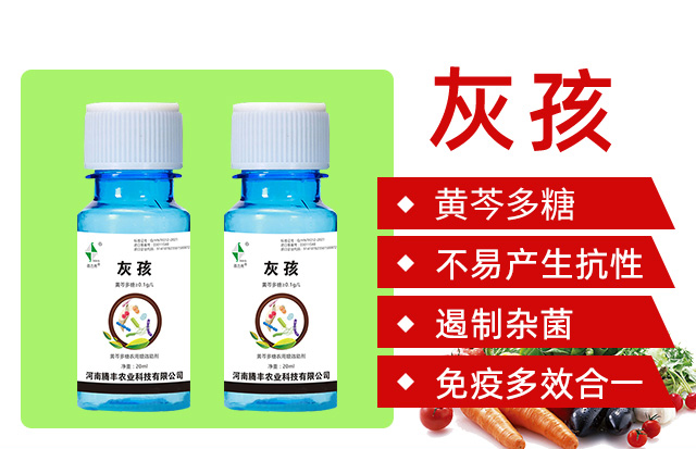 �Һ�-������-�v�S�r(n��ng)�I(y��)_03