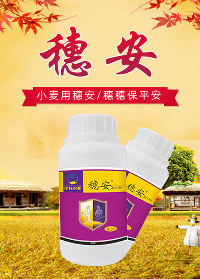 穗安-企標(biāo)_01