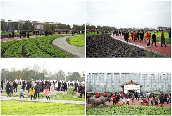 �ذ������ߌóɶ��N�I(y��)���[��(hu��)���n11��18��