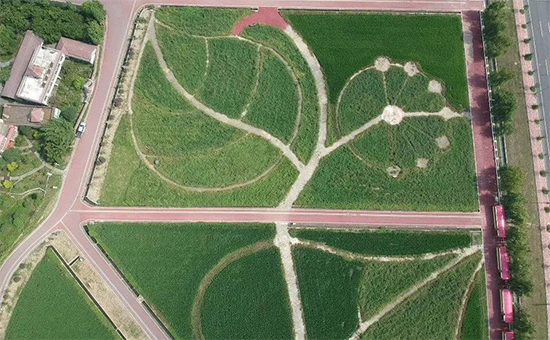 �ذ������ߌóɶ��N�I(y��)���[��(hu��)���n11��18��