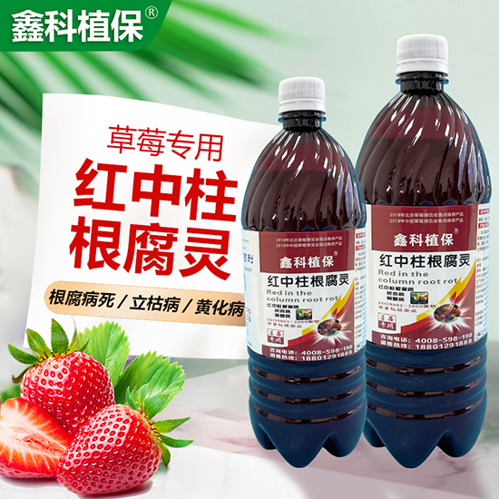 �t���������`-�ο�ֲ��2