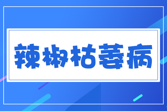 ������ή��