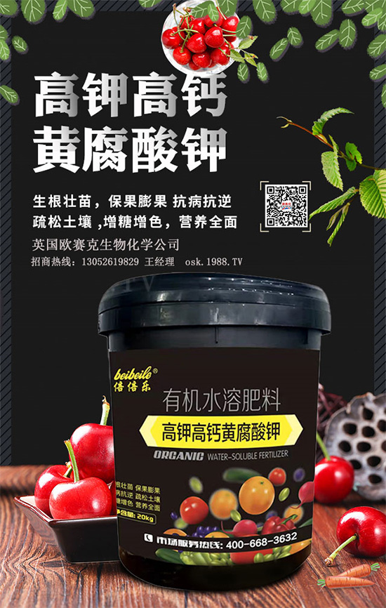 һ���S�����=�����������������ЙC�����S����⛞�����������