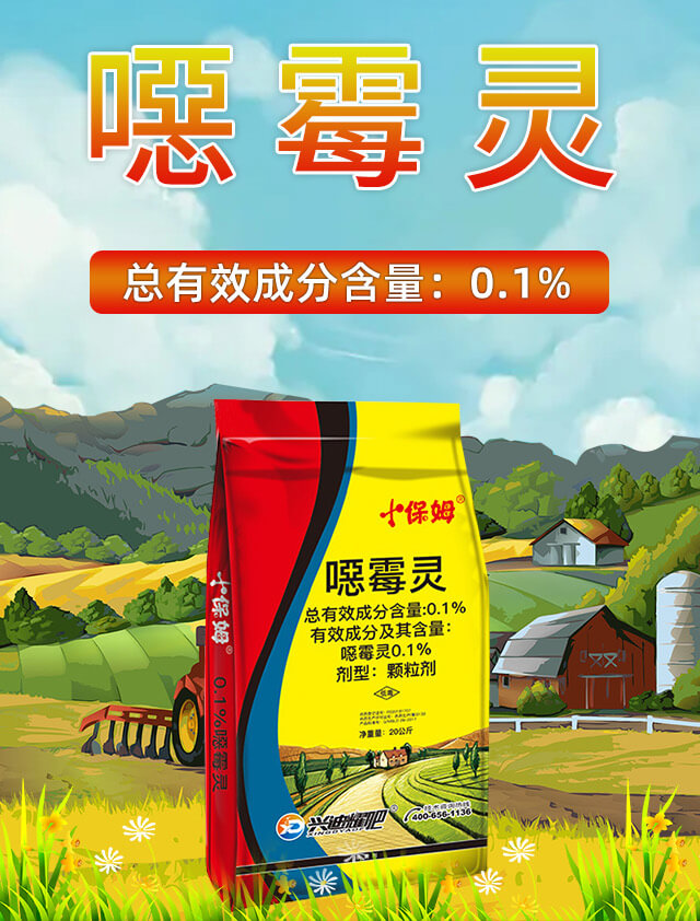 �fù�`�w����-�d������_01