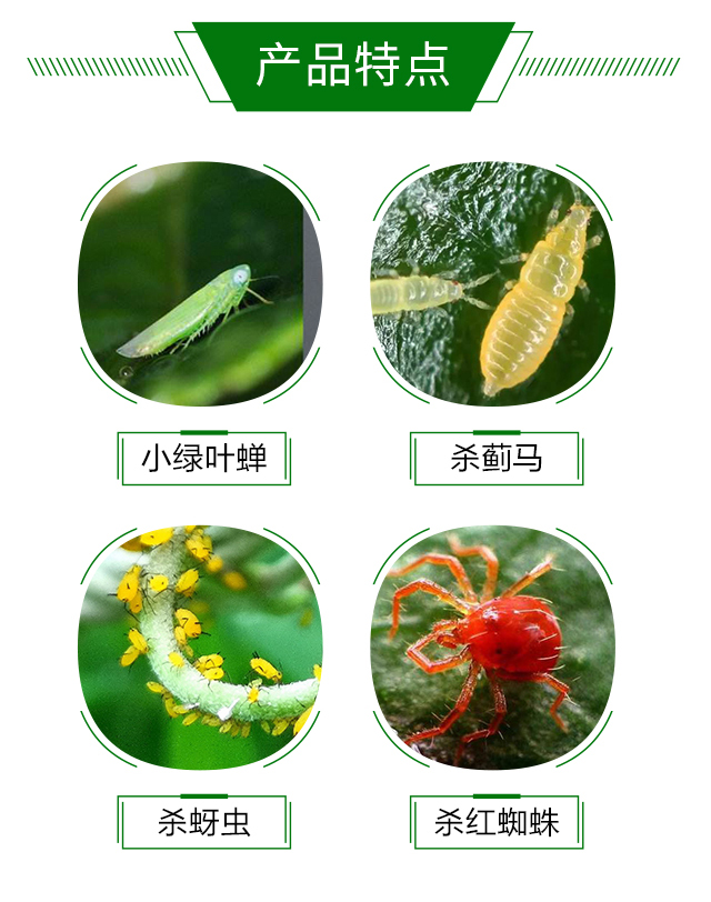 20%���x�����ȷ����t��-�{(l��n)��_03