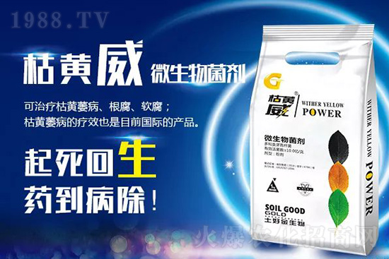 ���Sή�����ݵȲ������Ӝ皢�������͉�����