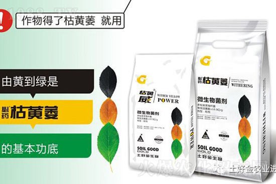 ���Sή�����ݵȲ������Ӝ皢�������͉�����