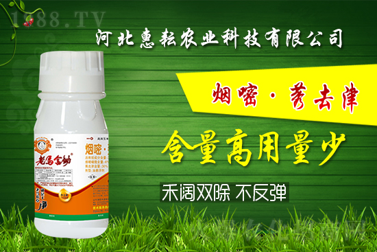 �⚢�pЧ�����ͨ�������������ӛס�@��(g��)�䷽�͉���! 