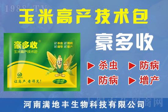 �M���S����