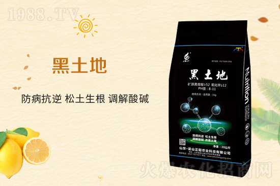 ��ɽ����r�I(y��)�Ƽ����޹�˾1