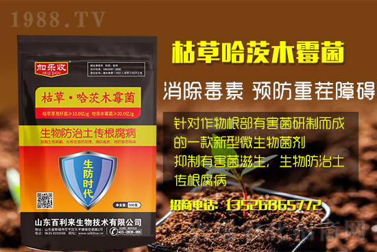 ���������l(f��)��ô���Σ���������ʲôˎ�÷���Ч������