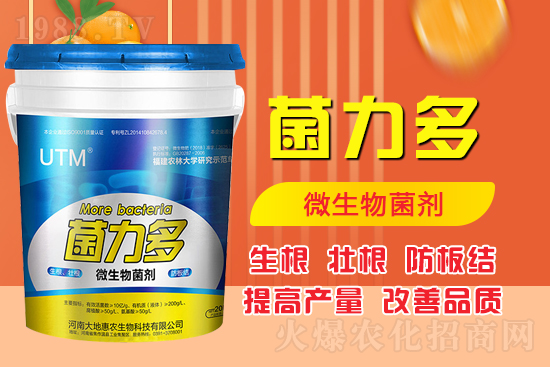 ������ʺͻ��ʵă�(y��u)�݌������������Ч�������