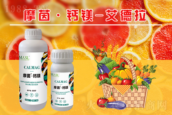 �����a(b��)�}�S���ځ�(l��i)�ˣ�����a(b��)���}�V����