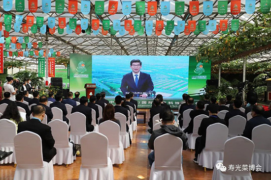 �ڶ�ʮ���É۹�˲���