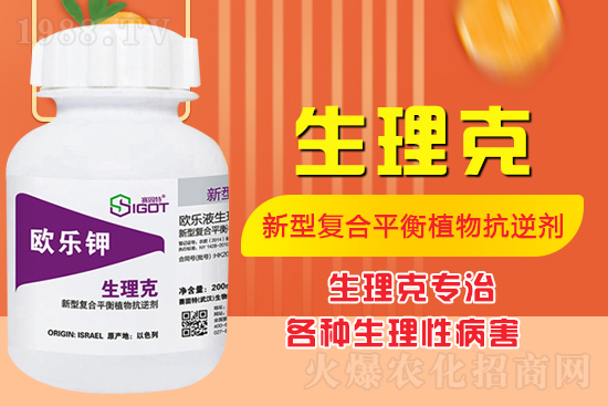 ����Ě������ʲô�Y���ô��Q����Ě������