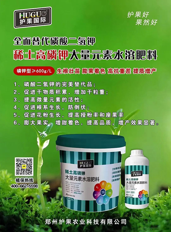 ⛷ʴ�q�r(ji��)���@�N⛷����(sh��)����������������⛣���ռ���f(w��n)�Ј�(ch��ng)