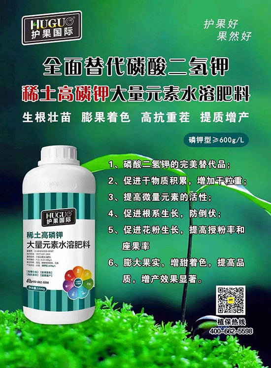 ⛷ʴ�q�r(ji��)���@�N⛷����(sh��)���ϣ����������������ռ���f(w��n)�Ј�(ch��ng)