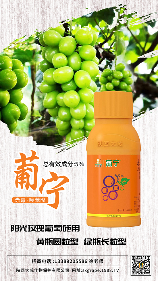 ������α����������p�ٴ�С�����@Щ�����ஔ��Ҫ��