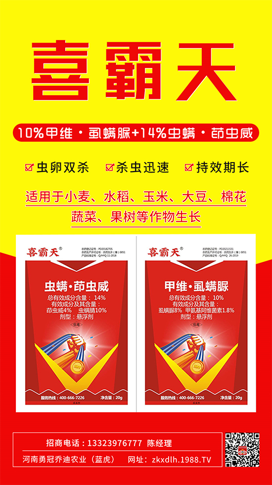 С�˶��������xΣ����̫�y���@����ˎ��һ��һ����(zh��n)!