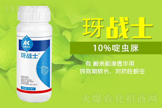 早春蚜蟲很容易大爆發(fā)，怎么避免黃瓜蚜蟲危害？