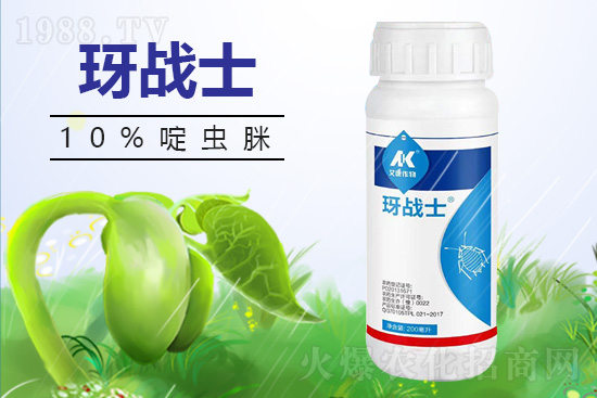 早春蚜蟲很容易大爆發(fā)，怎么避免黃瓜蚜蟲危害？