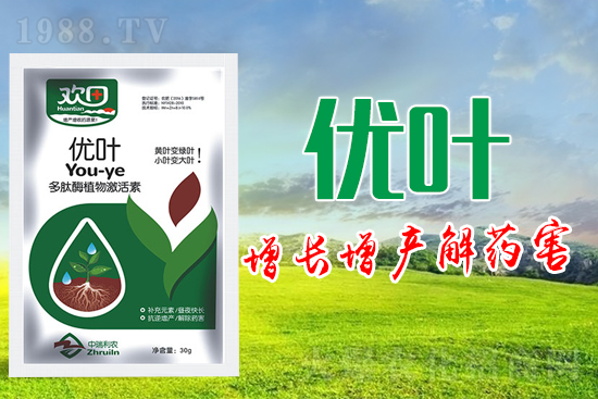 �~��ʵķN�ʹ��ע�����(xi��ng)