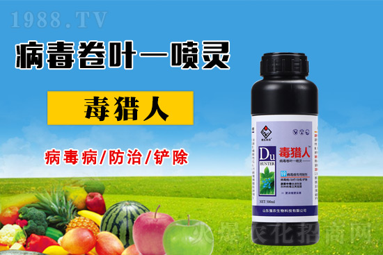 病毒病危害時(shí)期,怎么做好防治?